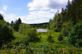 Blick vom Liebesbankweg auf einen kleinen See im Harz