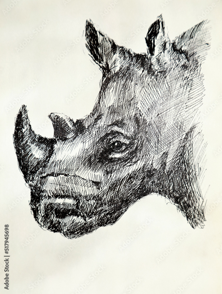 Illustration - a portrait of a rhinoceros. A drawing of a massive rhino with a large horn, drawn in a linear pen.