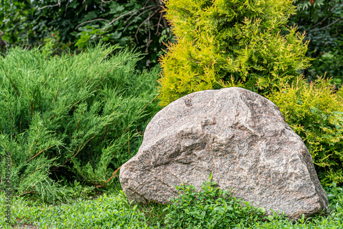 Wallpaper Mural A huge granite stone boulder on a grass lawn against the background with bushes and coniferous trees in a garden design close-up. Beautiful park landscape. Torontodigital.ca