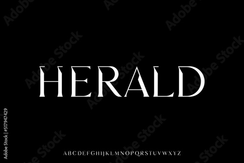 Elegant luxury decorative serif font vector
