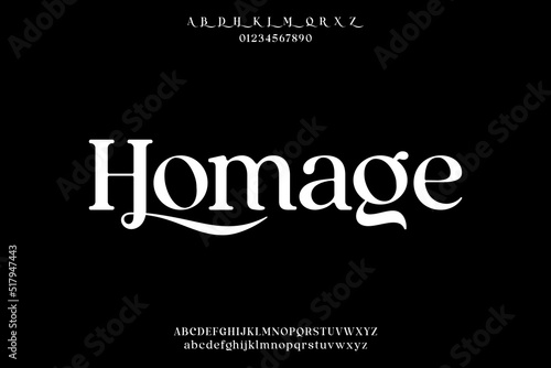 Elegant luxury serif alphabets font vector with alternate photo