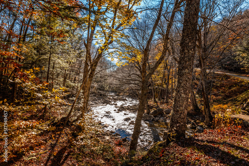 Autumnal landscape in the Flume Gorge  New Hampshire