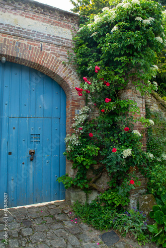 Blossom of fragrant colorful roses on narrow streets of small village Gerberoy, Normandy, France