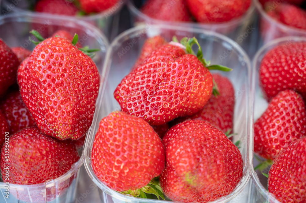 Seasonal fruits, red sweet ripe strawberries for sale on french farmers market Seasonal fruits, red sweet ripe strawberries for sale on french farmers market