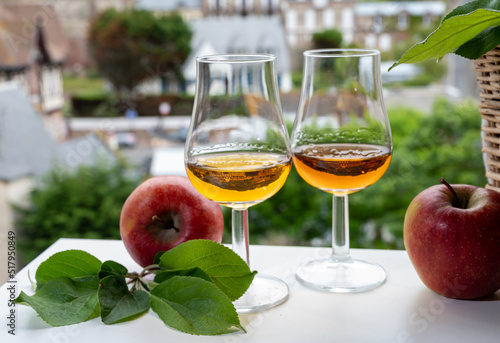 Tasting of strong alcoholic drink calvados made from apples in Normandy, Calvados region, France
