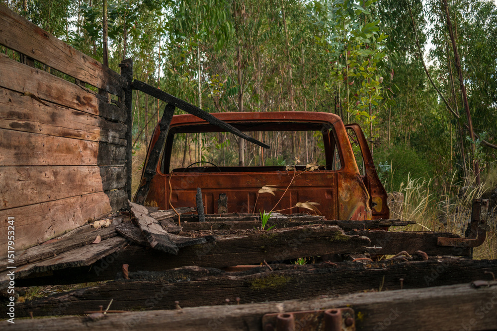 rusty truck in the middle of the forest, urcos, cusco, peru.
rusty truck in the middle of the forest, urcos, cusco, peru.