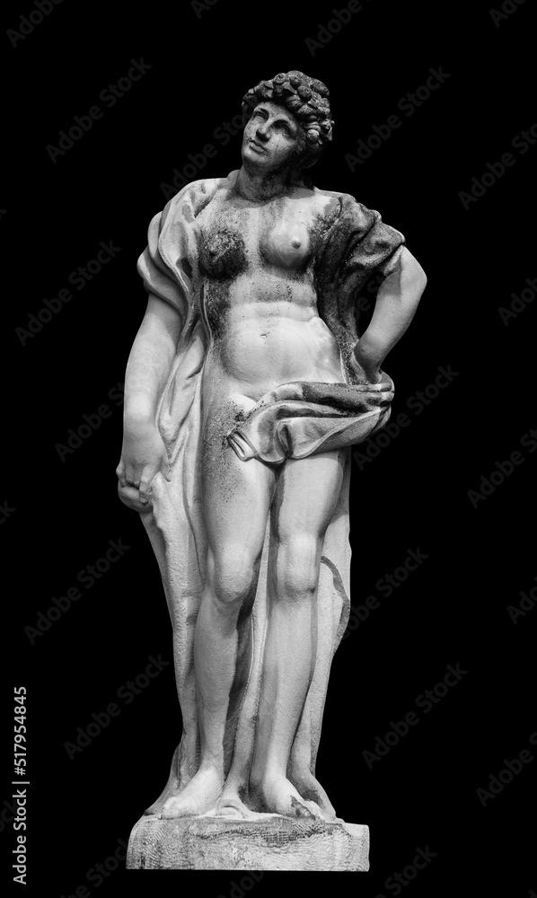 Fototapeta Beautiful Olympic goddess of love in antique mythology Aphrodite (Venus)