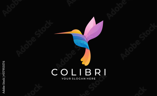 Beautiful Bird Hummingbird Colibri Colorful Logo Design Vector Template
