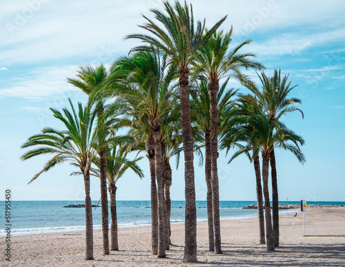 Playa con palmeras