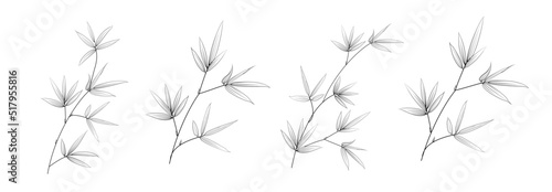 Set of differents bamboo branch on white background. © Kotkoa
