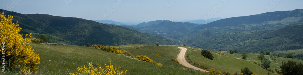 Senda hacia la cima de la montaña