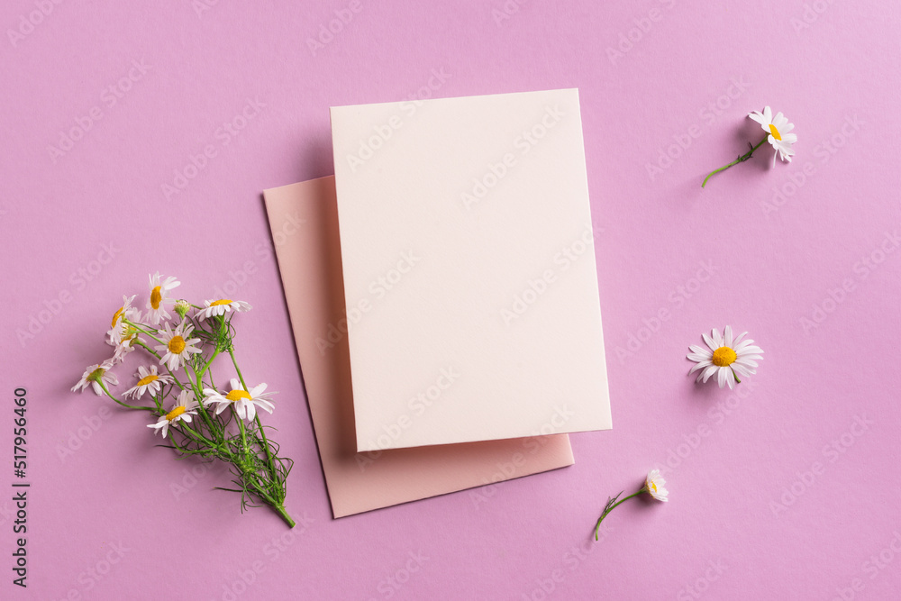 Blank card and daisy flowers Blank card and daisy flowers