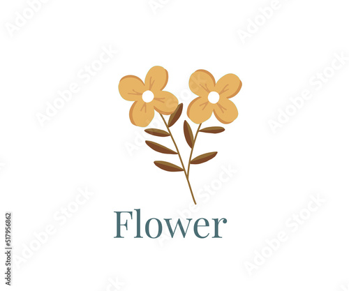 abstract flowers.  Two flowers with white background. 