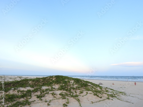 Beach with small dunes and vegetation.
