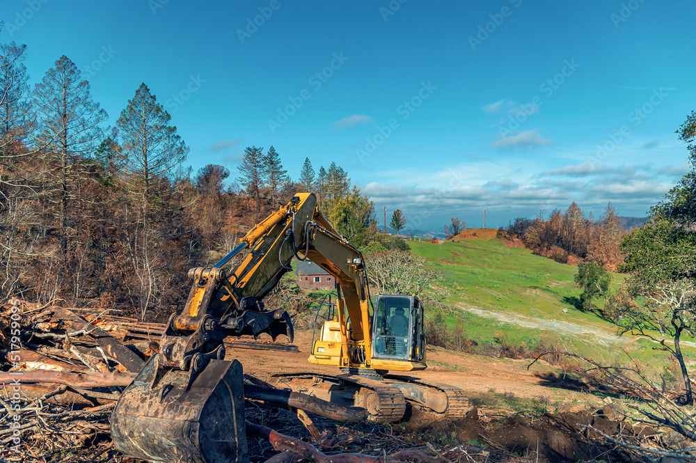 Excavator bucket close-up in the forest on a slope. An excavator clears a slope after a fire. Burnt trees. Excavator bucket close-up in the forest on a slope. An excavator clears a slope after a fire. Burnt trees.