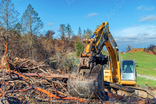 Excavator bucket works in the forest on a slope. An excavator clears a slope after a fire. Burnt trees.