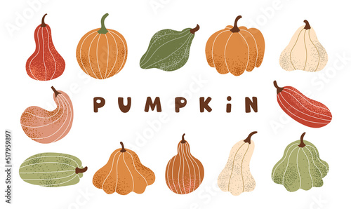 A large autumn set of pumpkins. Pumpkin, zucchini, zucchini and squash. Colorful vegetables on a white background