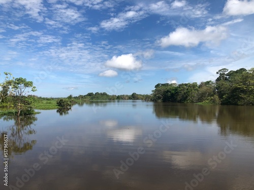 Fototapeta Naklejka Na Ścianę i Meble -  Amazon nature