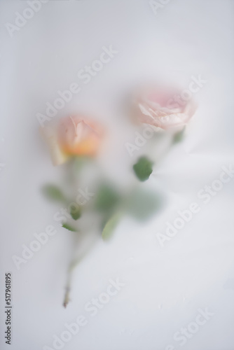Gentle romantic composition with flowers. Two pink roses in abstract blur filter on light background, image for adding text or cover