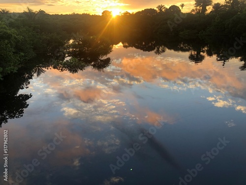 Amazon nature