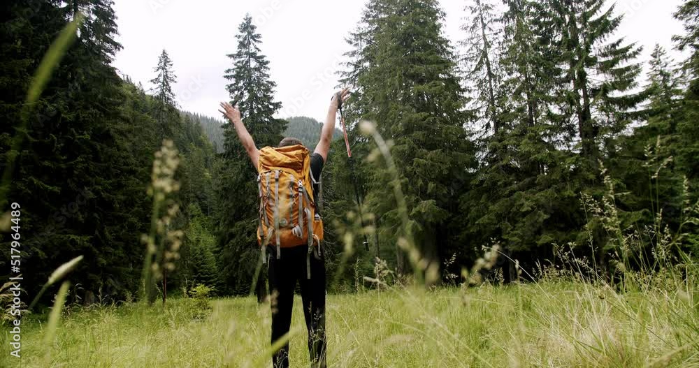Man hiking or camping in wilderness walk on path or trail. Outdoors lifestyle. A man walking in the forest. high elevation green forest. Male traveler walks by trail exploring nature. Man hiking or camping in wilderness walk on path or trail. Outdoors lifestyle. A man walking in the forest. high elevation green forest. Male traveler walks by trail exploring nature.