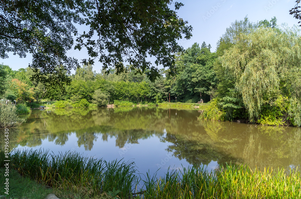 Teich Teich