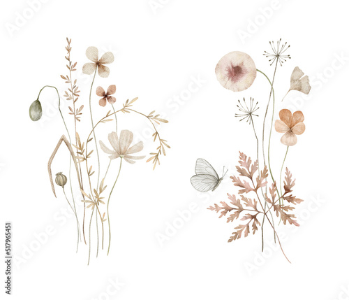 Watercolor bouquet with wild plants and flowers, dandelion. Meadow dried wildflowers. Elegant ethereal nature, floral arrangements photo