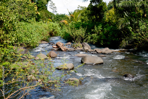 Forest river in eastjava, Indonesia.