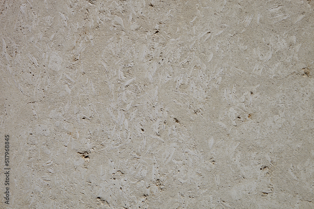 This is a light limestone slab with traces of shells. Shell rock texture. Natural stone background This is a light limestone slab with traces of shells. Shell rock texture. Natural stone background
