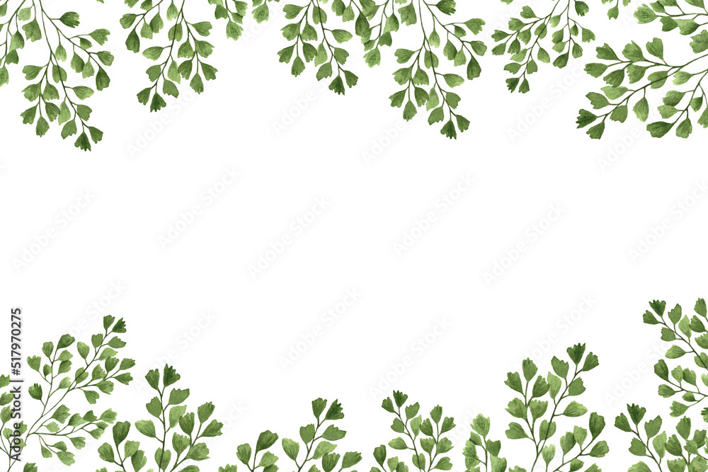rectangular frame of green fern twigs watercolor