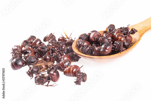 Ants culonas Typical Gastronomy of Santander Colombia; Photo White Background photo