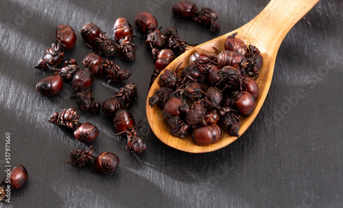 Wooden Spoon With Ants culonas Typical Gastronomy of Santander Colombia photo