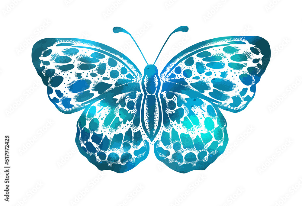 Beautiful blue butterfly. Vector illustration