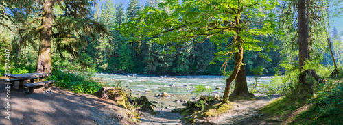 Panorama of the South Fork of the Stillaguamish River from the Hemple Creek Picnic Area in the Mount Baker-Snoqualmie National Forest in Washington State photo