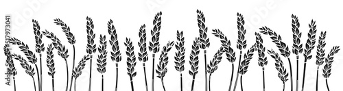 Wheat ear engraved or stamp border background. Agricultural silhouette press, flour production. Cereals ripe spike frame horizontal pattern. Design template farm stencil, organic bread, beer engraving