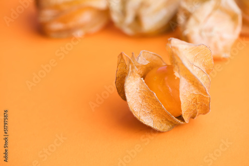 Physalis fruits -Physalis Peruviana- with skin on orange background