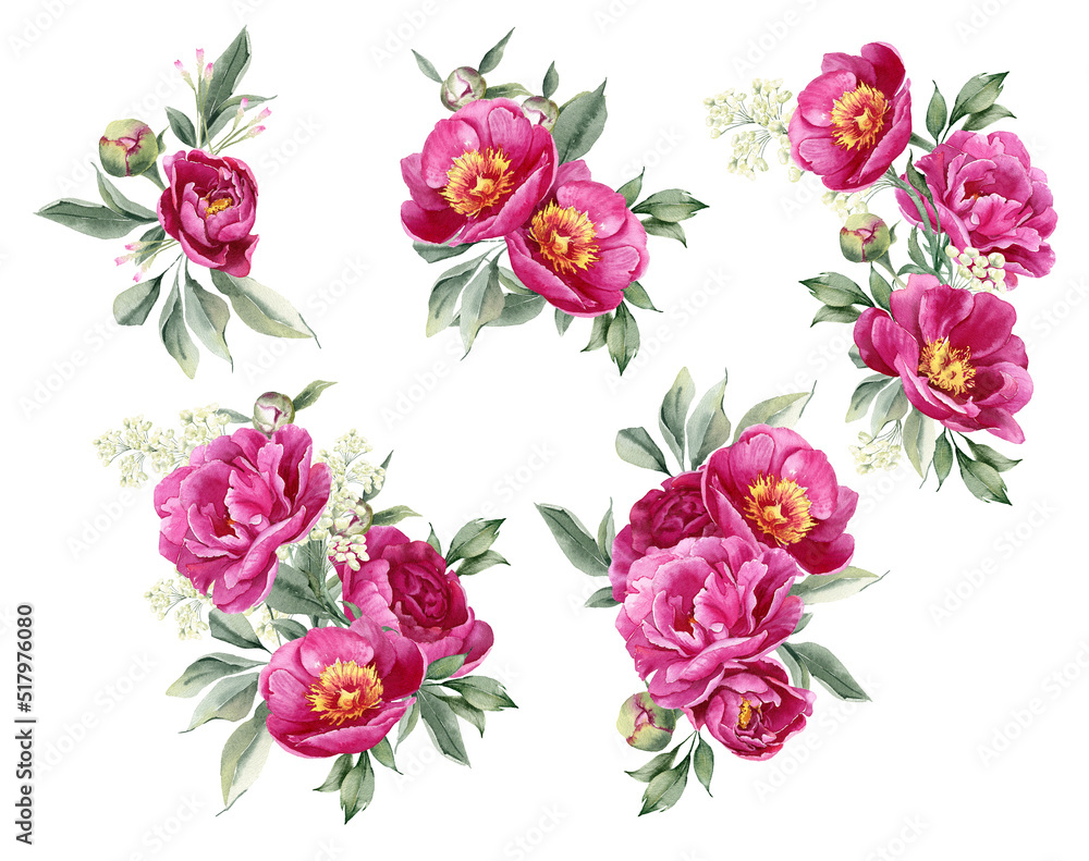 Pink peony watercolor flowers. Floral arrangement for card, invitation, decoration. Illustration isolated on white background