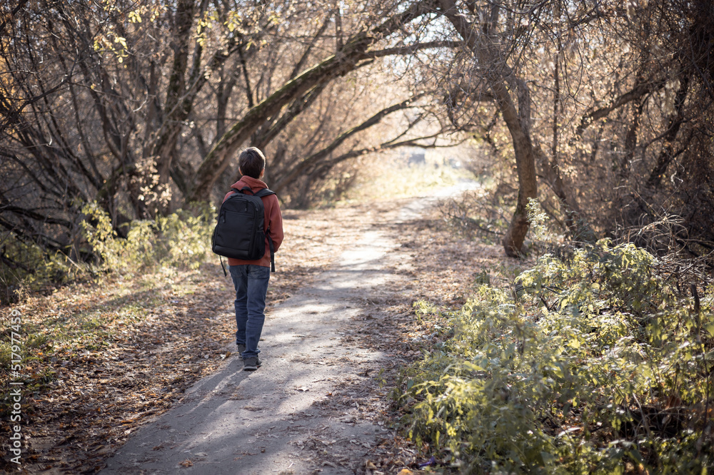 Teenager boy with backpack walking on path in autumn park, rear view .Active lifestyle, Back to school. Student boy in fall forest. People from behind. Teenager boy with backpack walking on path in autumn park, rear view .Active lifestyle, Back to school. Student boy in fall forest. People from behind.