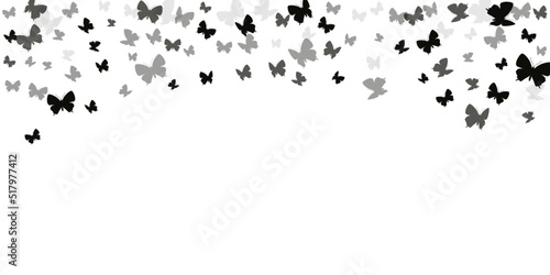 Romantic black butterflies abstract vector background. Spring pretty insects. Simple butterflies abstract dreamy wallpaper. Tender wings moths graphic design. Tropical creatures.