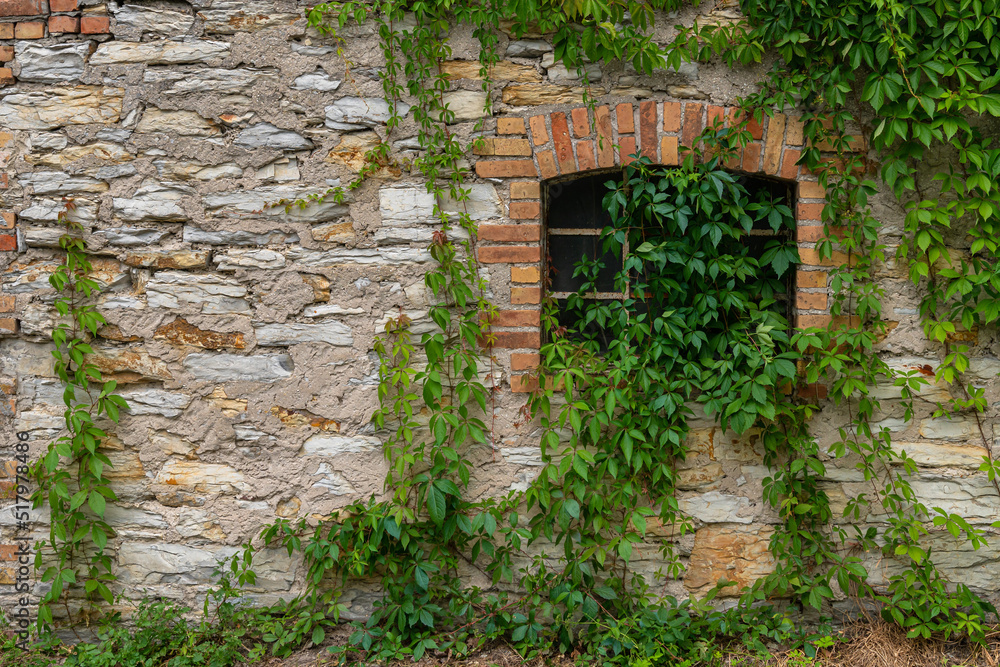 Ancient window a stone wall of a building covered with creepers. Ancient window a stone wall of a building covered with creepers.