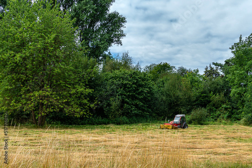 A small tractor mows the grass at the edge of the forest.