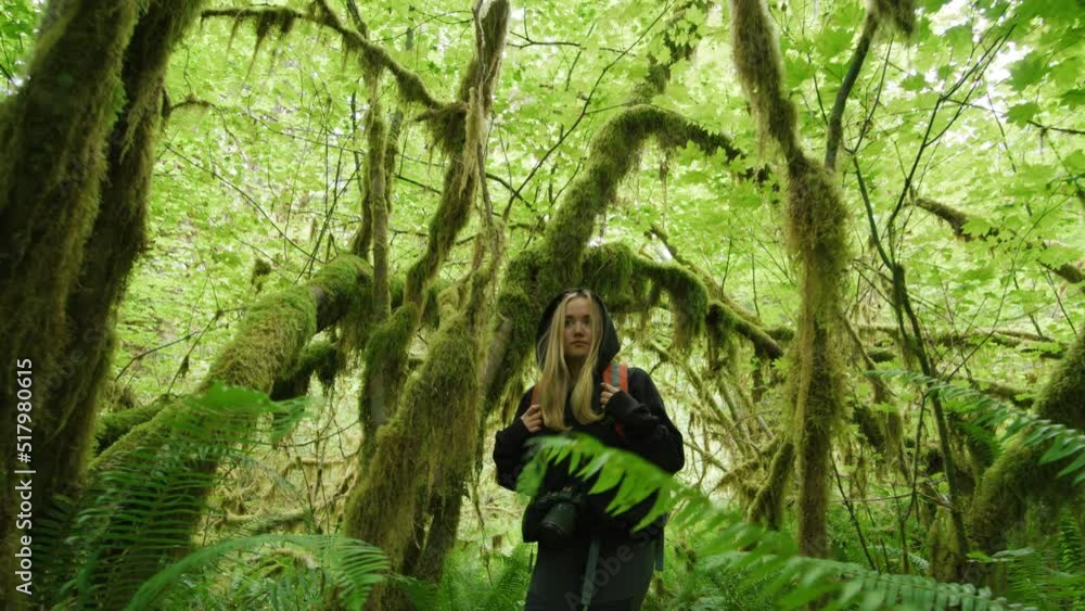 Blonde-haired woman with colorful backpack wading through tropical jungles. Lush, vibrant greenery within dense forest in Olympic National Park, USA. High quality 4k footage Blonde-haired woman with colorful backpack wading through tropical jungles. Lush, vibrant greenery within dense forest in Olympic National Park, USA. High quality 4k footage