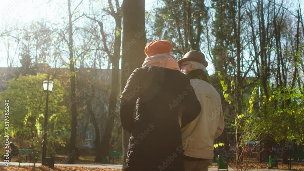 Capturing video in the late autumn day in the park romantic old couple have a promenade they walking through the park and hugging each other Capturing video in the late autumn day in the park romantic old couple have a promenade they walking through the park and hugging each other