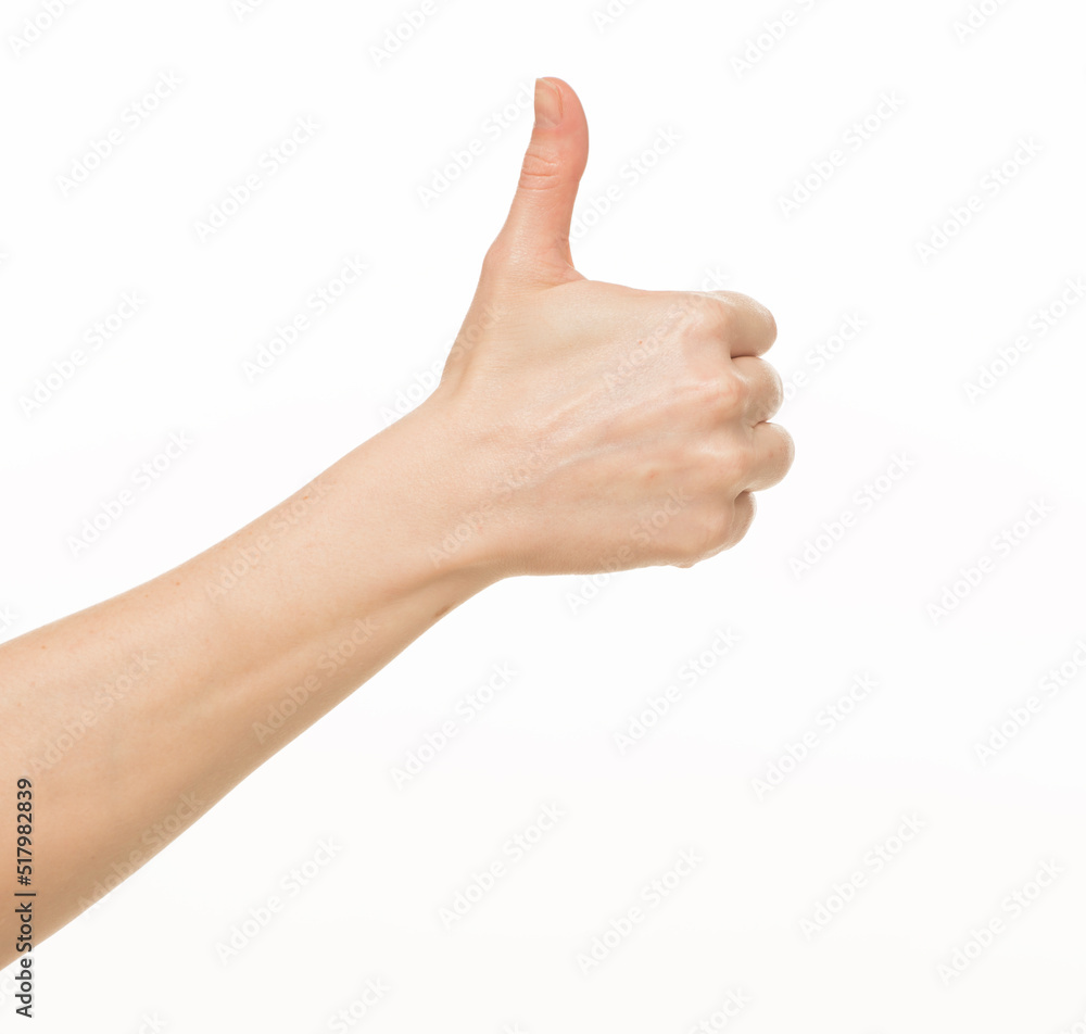 hands show gestures. female hands show gestures on a white background isolated. hands show gestures. female hands show gestures on a white background isolated.