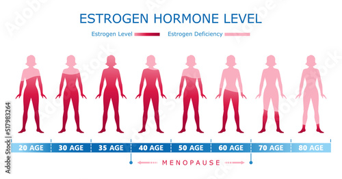 Estrogen hormone level. Medical graphic diagram with woman body silhouette and age data. Biological, medical, educational and scientific concept. Vector illustration