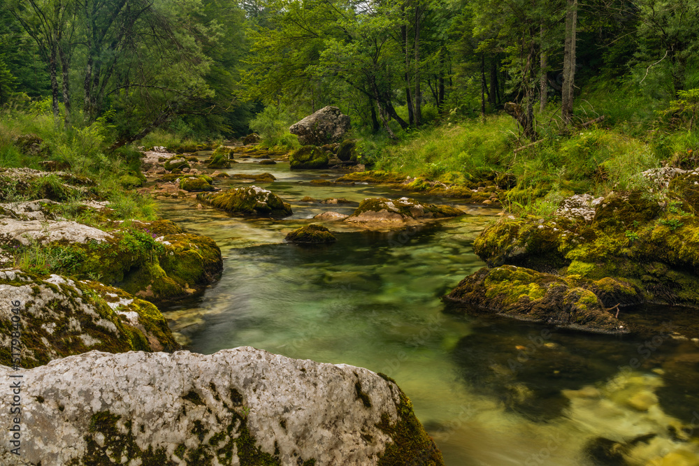 Mostnica small river with color surroundings in Slovenia mountains