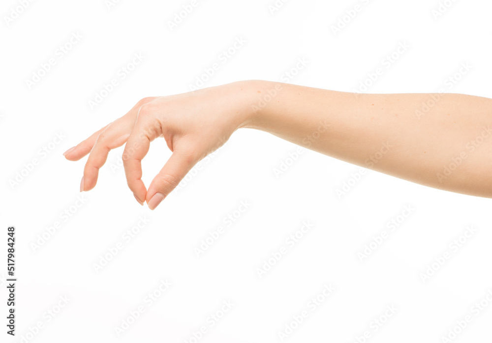 hands show gestures. female hands show gestures on a white background isolated. hands show gestures. female hands show gestures on a white background isolated.