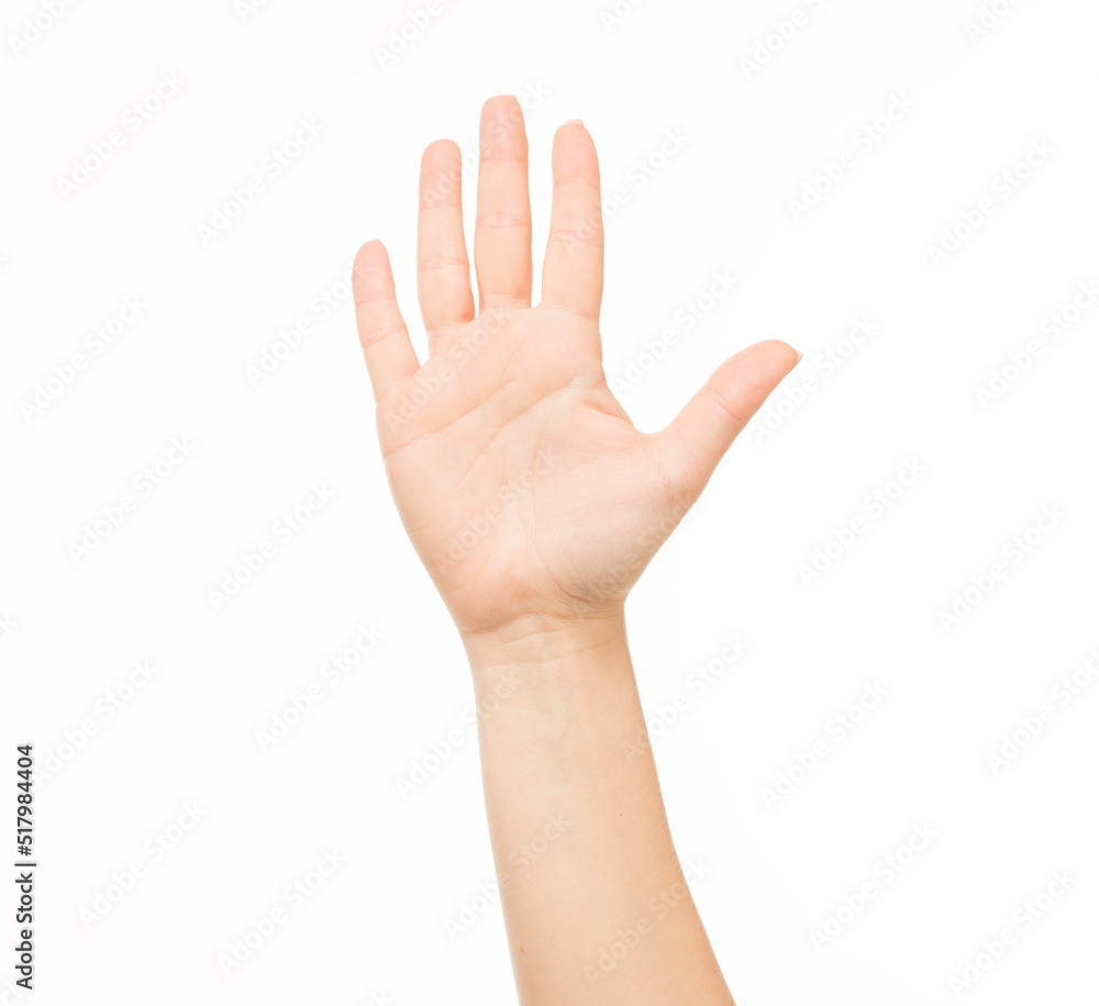 hands show gestures. female hands show gestures on a white background isolated. hands show gestures. female hands show gestures on a white background isolated.