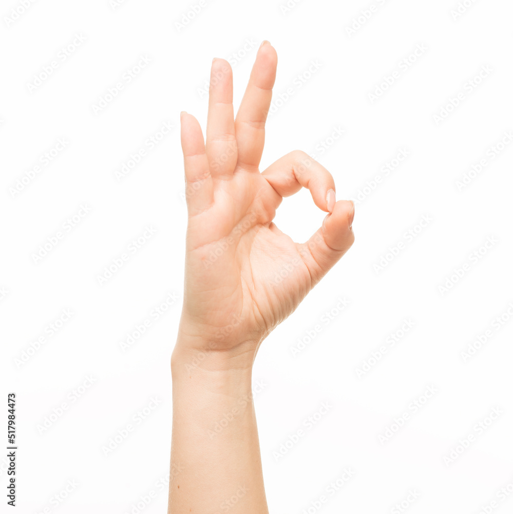 hands show gestures. female hands show gestures on a white background isolated. hands show gestures. female hands show gestures on a white background isolated.
