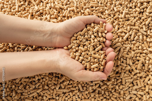 Fotografia Woman hands hold wooden pellets